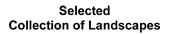 leftButton